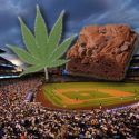 Two Lawyers Wrote a Song Called “Don’t Eat Your Weed”