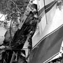 Lynyrd Skynyrd Plane Crash Was 39 Years Ago Today