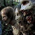 “Walking Dead” Sets 2 Hour Retrospective